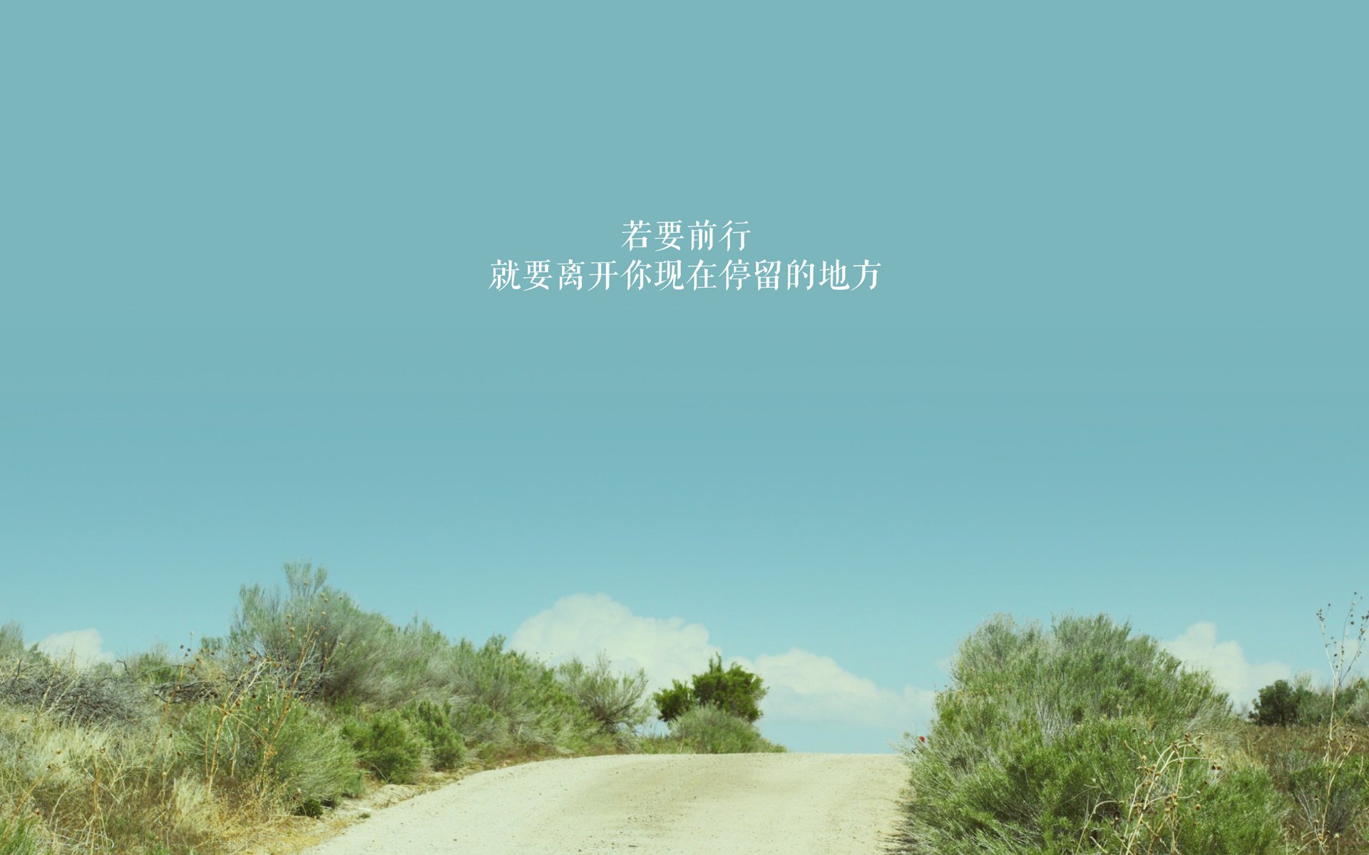 _城市夜跑融合：运动与音乐、灯光盛宴_，夜跑夜景