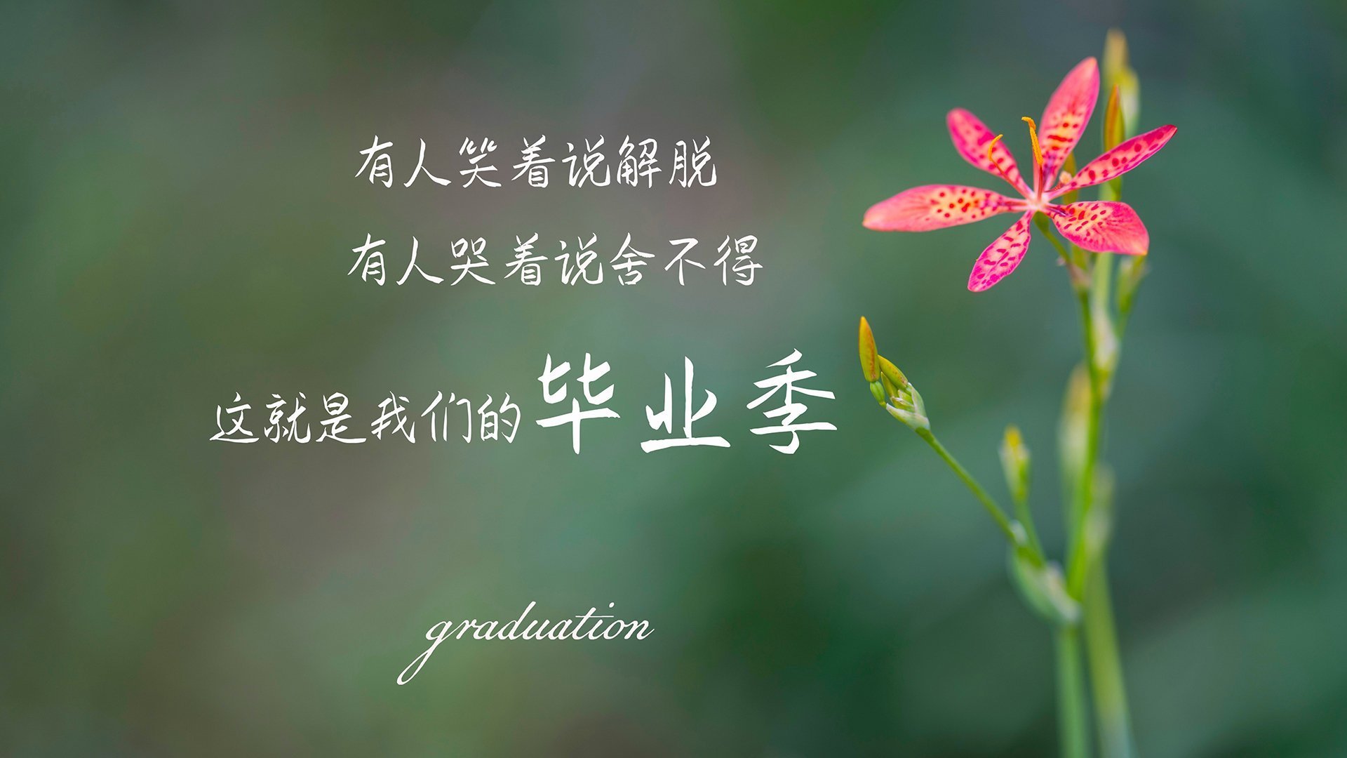 开云入口-“青春光荣”青少年篮球主题系列公益作品在全国范围内火热上线