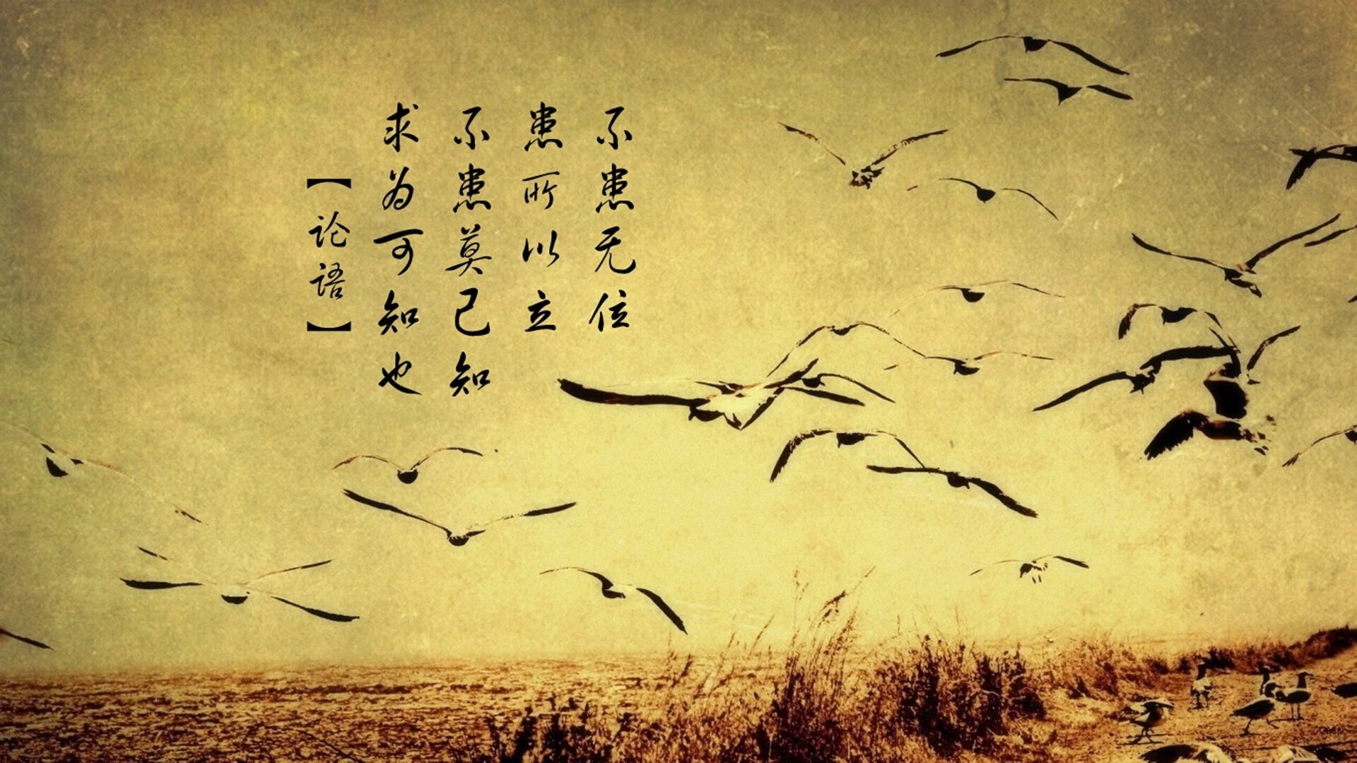开云·Kaiyun网页版-【激烈对决】道奇vs教士，胜负悬念到最后一刻，道奇对标