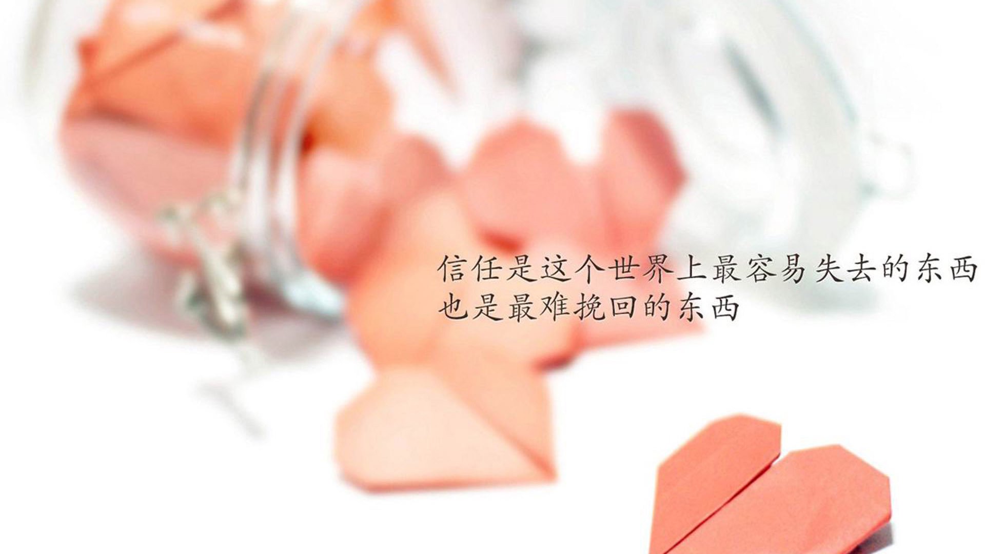开云官网登录-中国足球产业基金实现多元投资，激发市场活力，中国足球产业发展报告