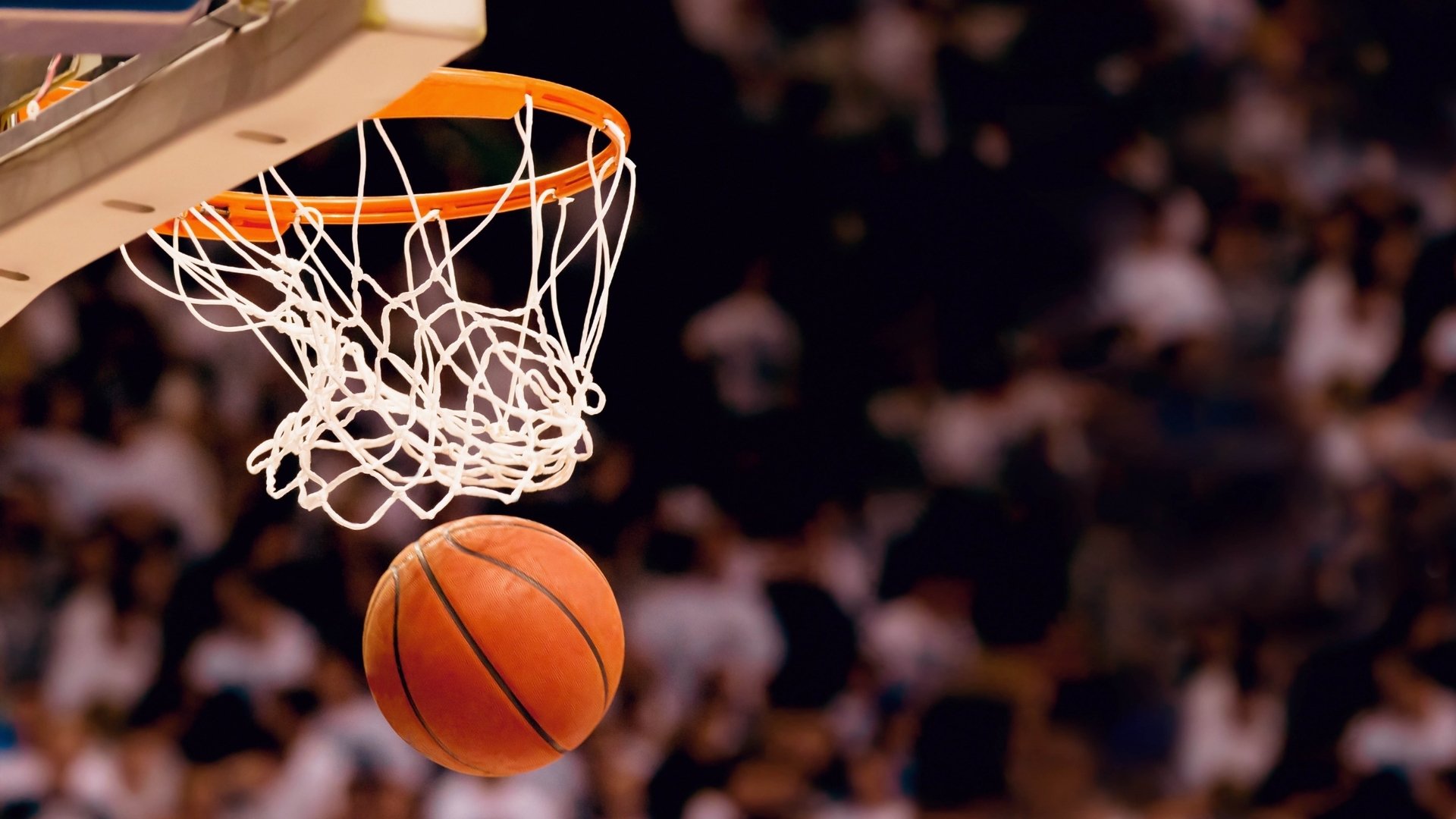 斯台普斯中心球迷热情支持湖人，连续五场满座，nba斯台普斯球馆门票