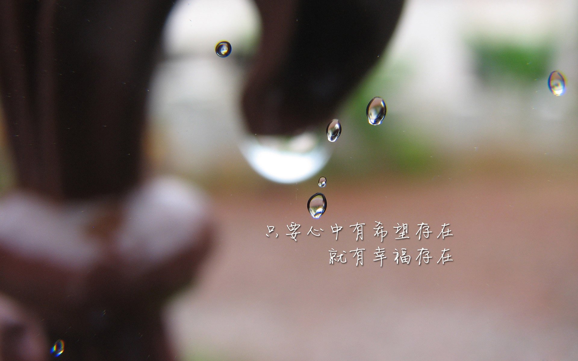 比利时骑手格里高利·瓦特莱特在2024年国际马术联合会障碍赛世界巡回赛中以“Maximus”马匹获得个人第五名，展现坚韧精神。