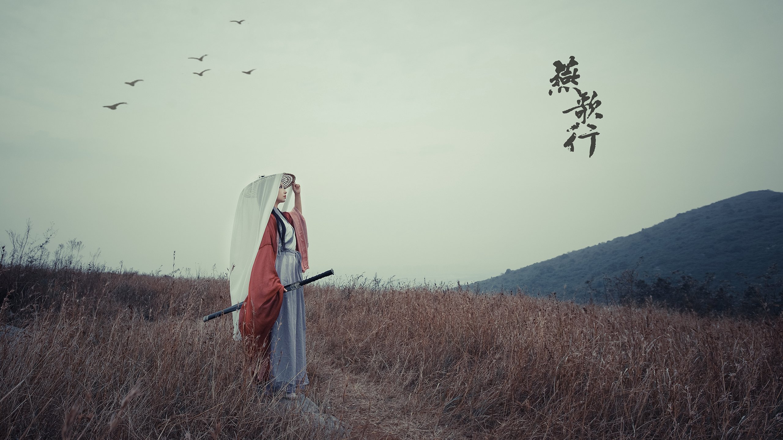 KAIYUN 中国大陆-赛事期间的媒体报道亮点集锦，赛事报道怎么写