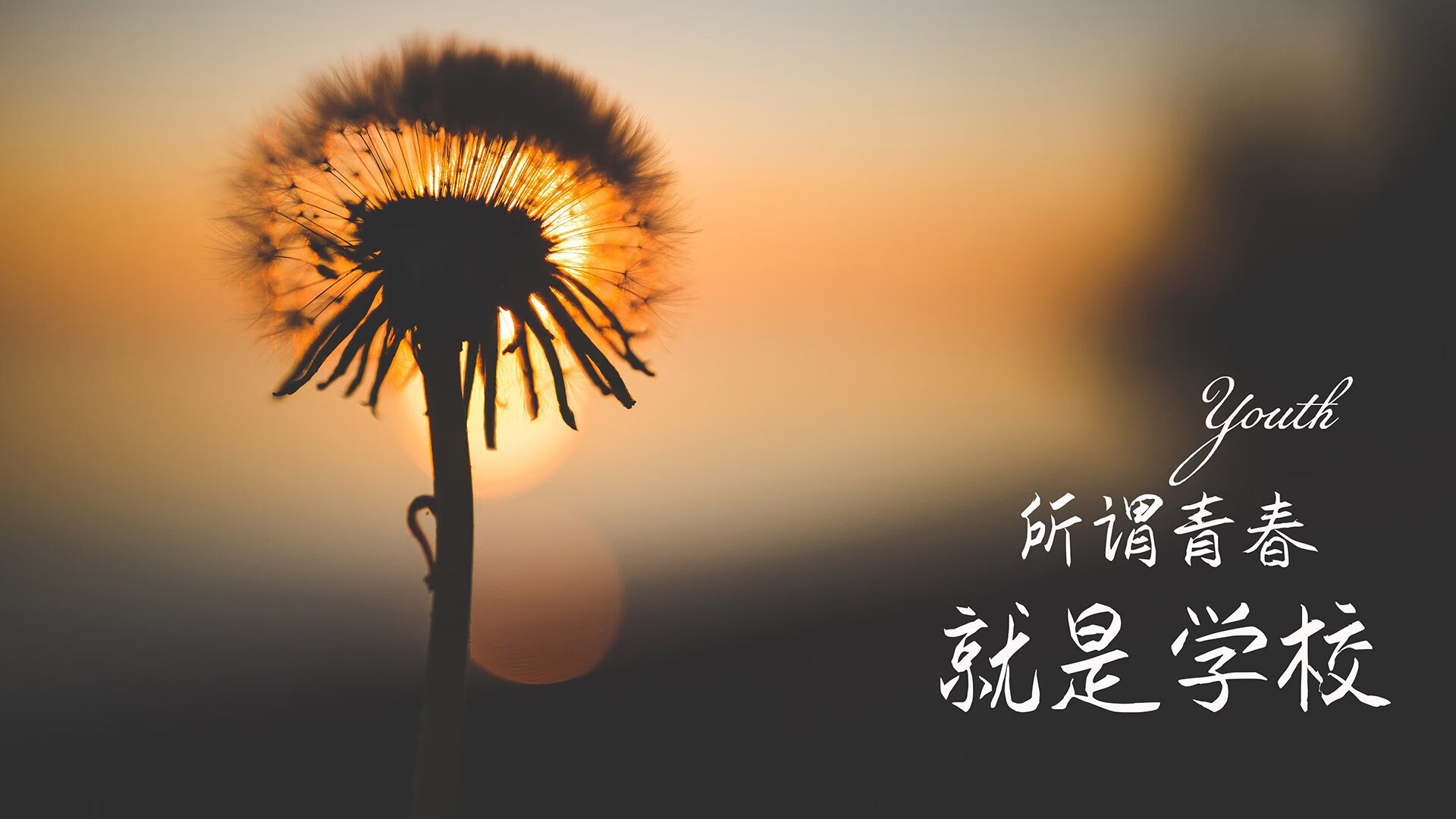 法甲青少年后备力量崛起与转会价值测算，法甲后卫